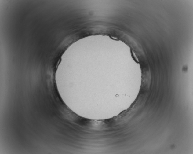 X0000102800333200809150934