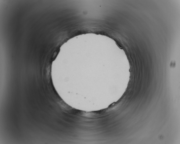 X0000102800336200809150934