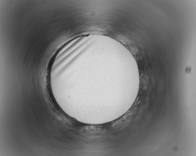 X0000102800338200809150934