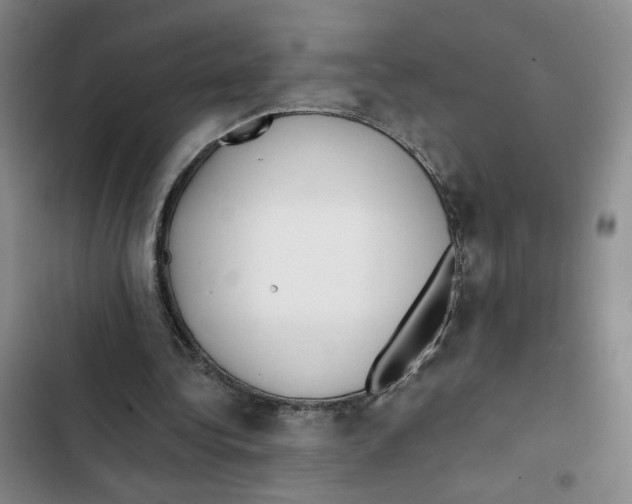 X0000102800340200809150934