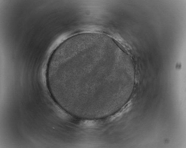 X0000102800341200809150934