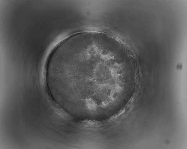 X0000102800343200809150934