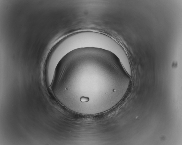 X0000102800344200809150934