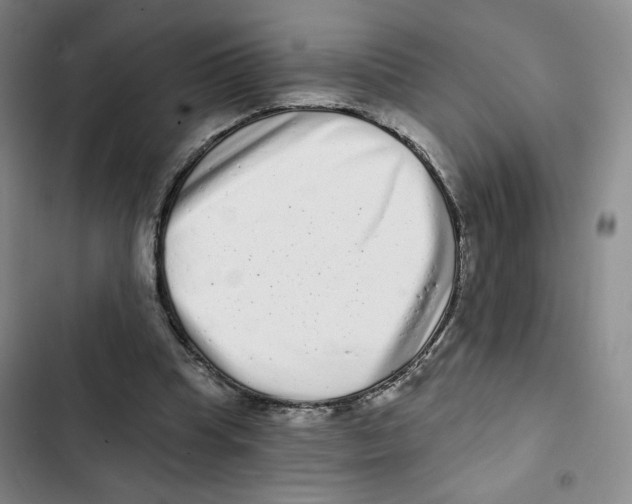 X0000102800345200809150934