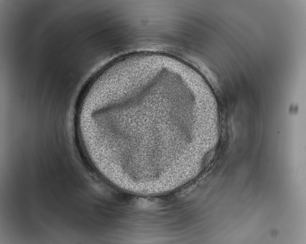 X0000102800346200809150934