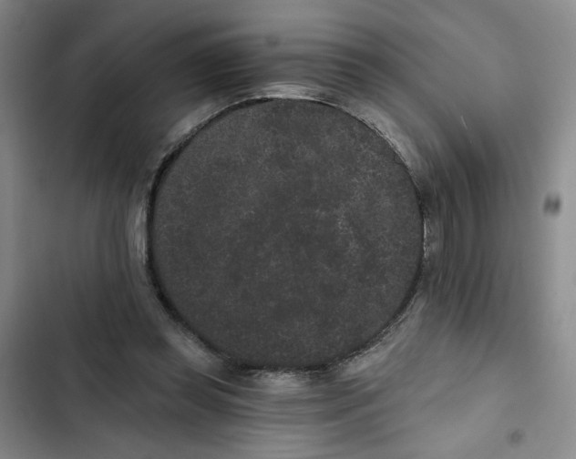 X0000102800349200809150934