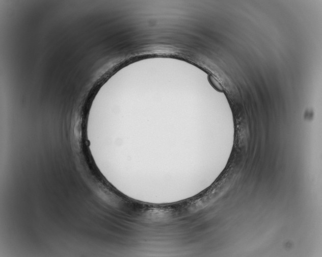 X0000102800350200809150934