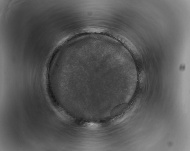 X0000102800352200809150934