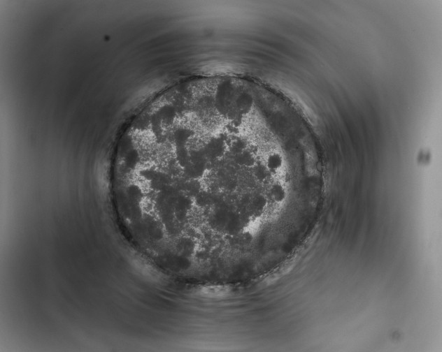 X0000102800353200809150934