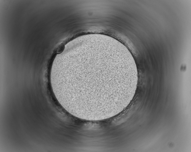 X0000102800354200809150934