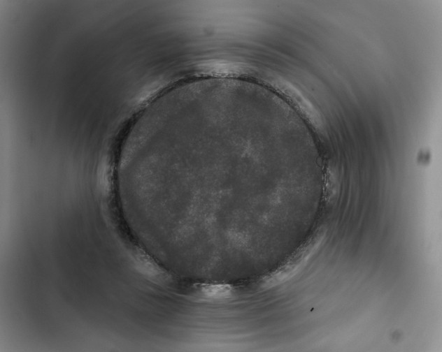 X0000102800355200809150934