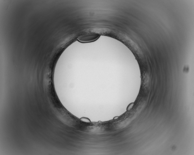 X0000102800356200809150934