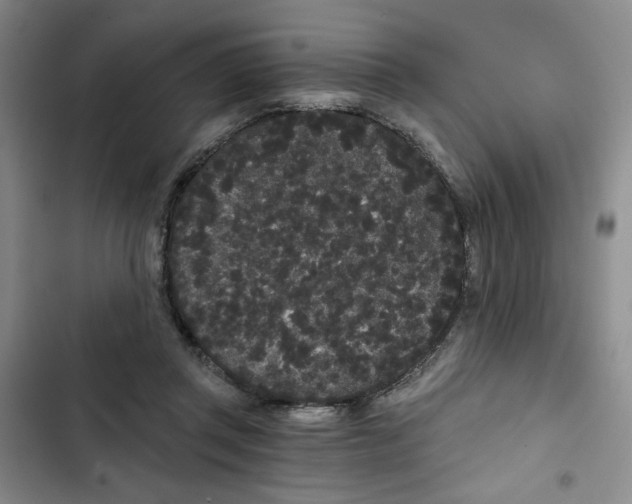 X0000102800357200809150934