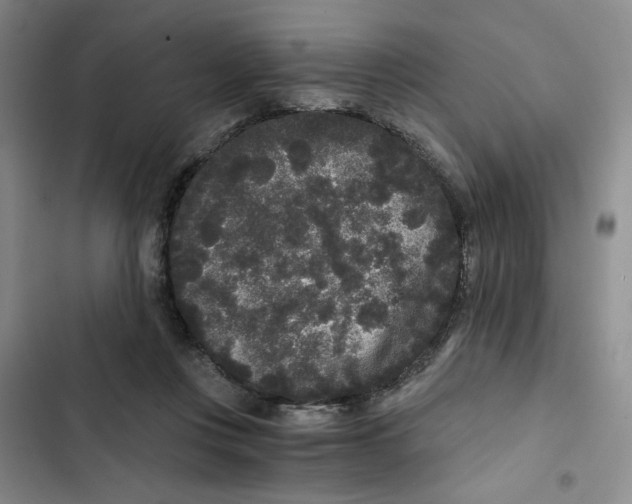 X0000102800359200809150934