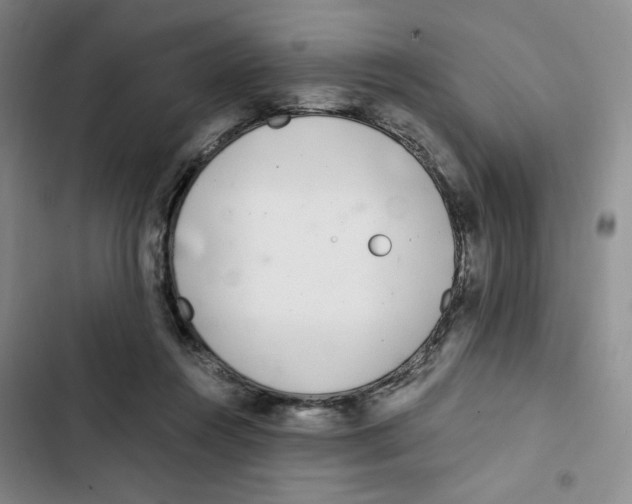 X0000102800360200809150934