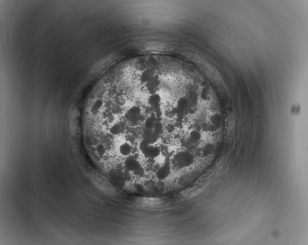 X0000102800361200809150934