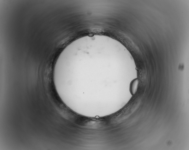 X0000102800364200809150934