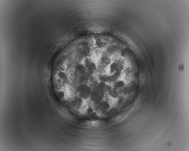 X0000102800365200809150934