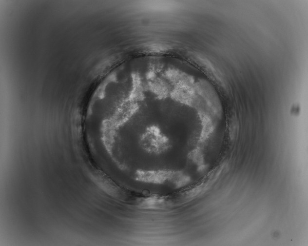 X0000102800366200809150934