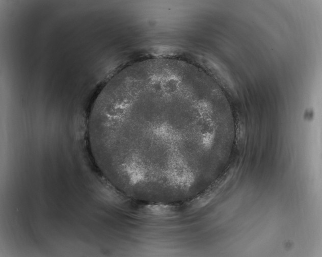 X0000102800367200809150934