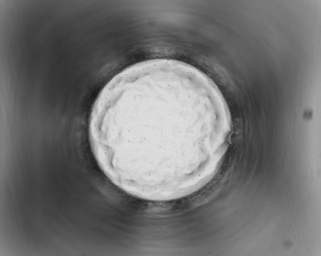 X0000102800369200809150934