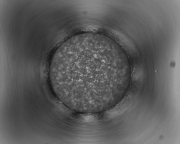 X0000102800370200809150934