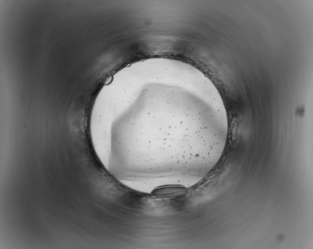 X0000102800372200809150934