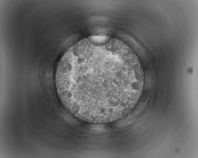 X0000102800377200809150934