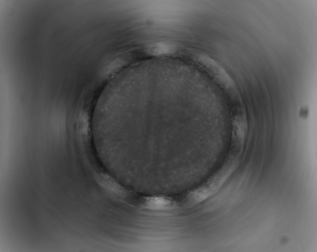 X0000102800380200809150934