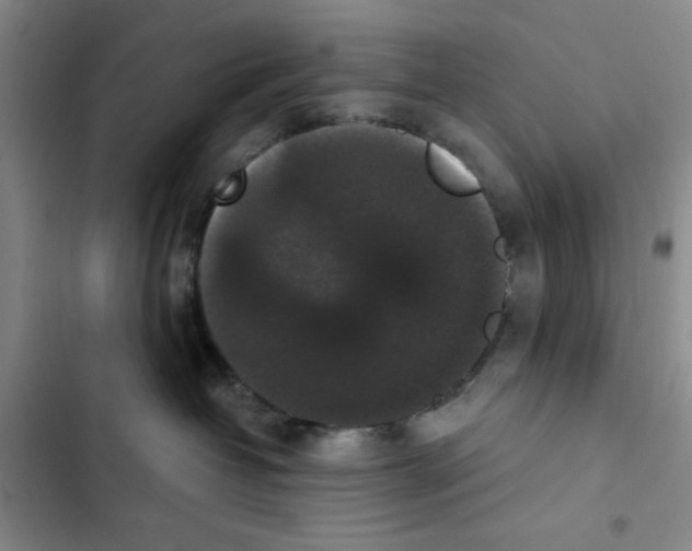 X0000102800382200809150934