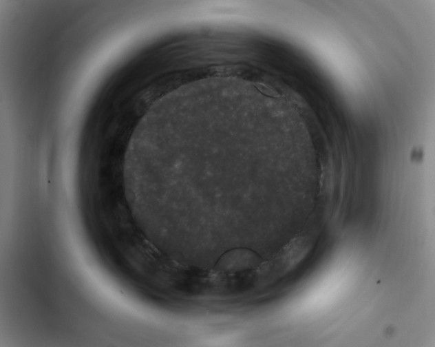 X0000102800383200809150934