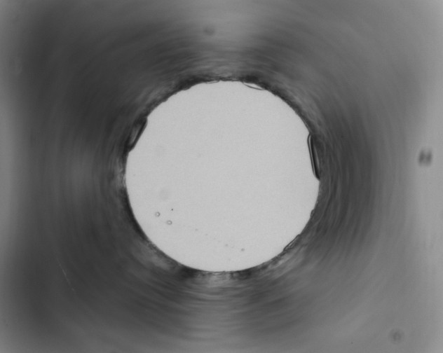 X0000102800384200809150934