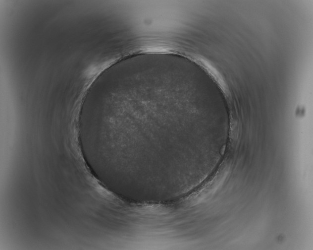 X0000102800385200809150934