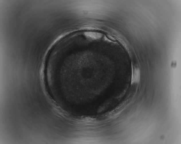 X0000102800387200809150934