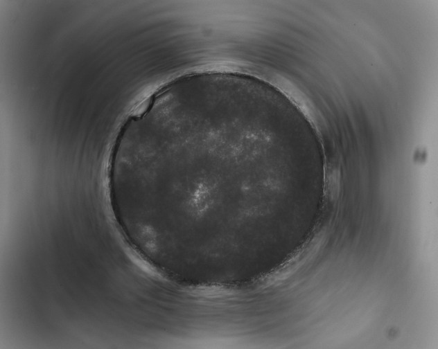 X0000102800389200809150934