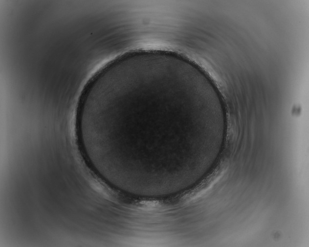 X0000102800391200809150934