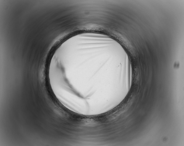 X0000102800392200809150934