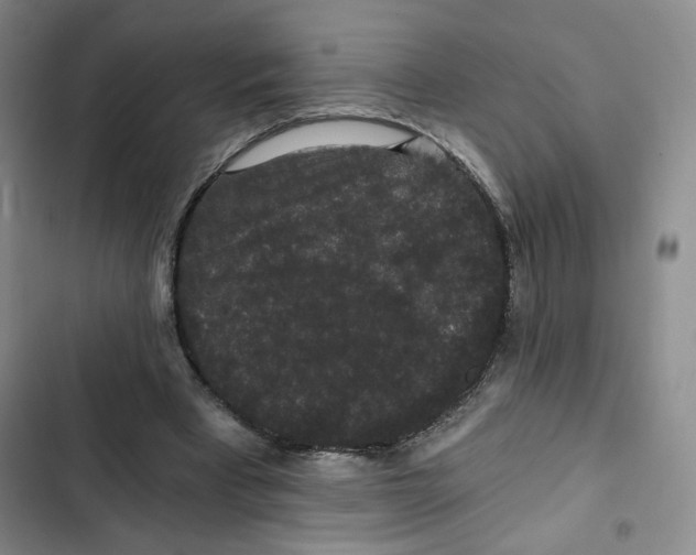 X0000102800393200809150934