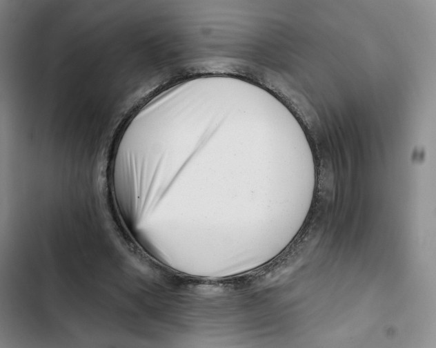 X0000102800394200809150933