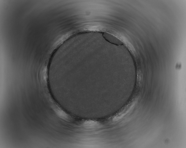 X0000102800397200809150933