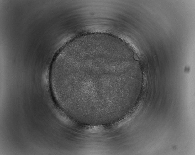 X0000102800398200809150933