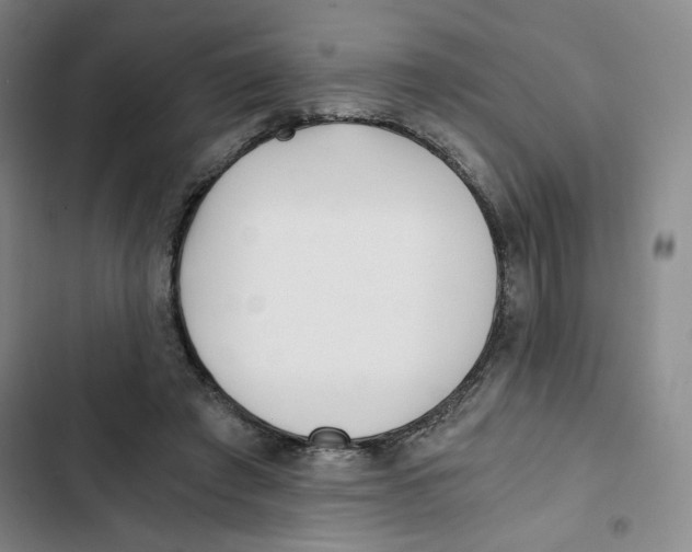 X0000102800401200809150933