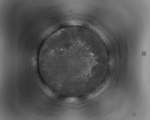 X0000102800402200809150933