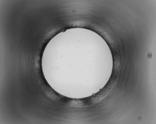 X0000102800403200809150933