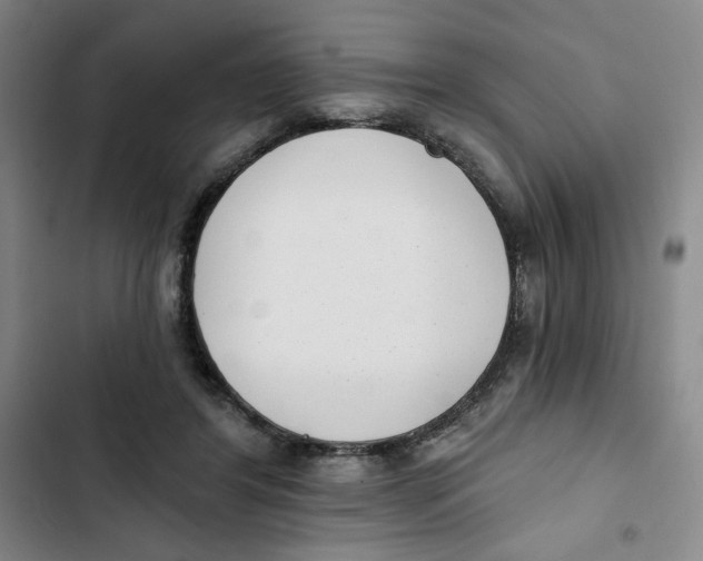 X0000102800404200809150933