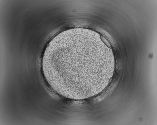 X0000102800405200809150933