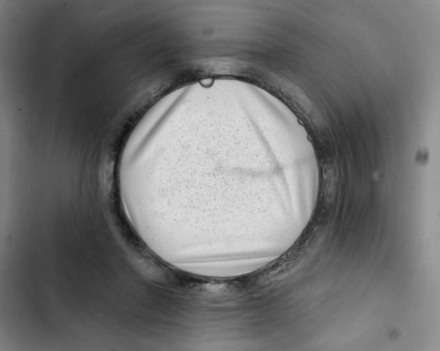 X0000102800406200809150933