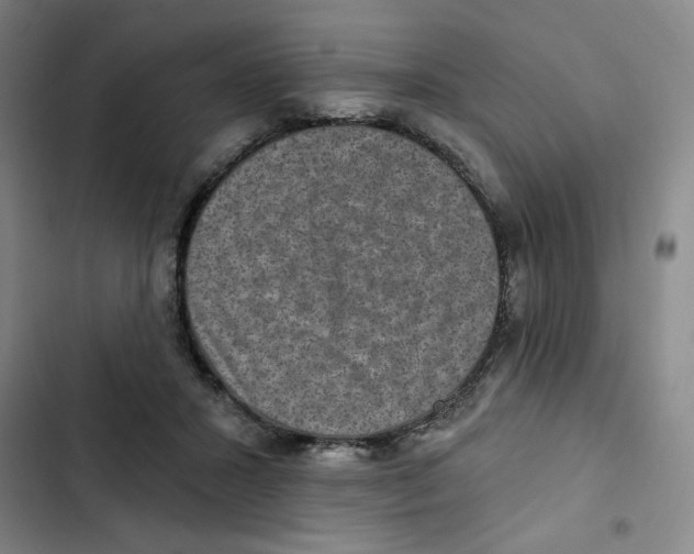 X0000102800407200809150933