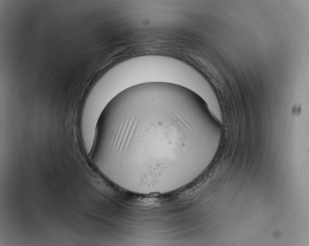 X0000102800409200809150933