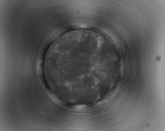 X0000102800410200809150933